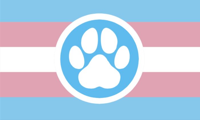 furry paw on a trans flag