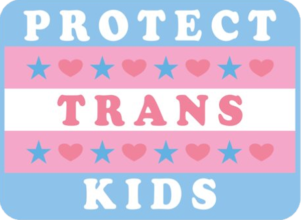 Banner with text: Protect Trans Kids